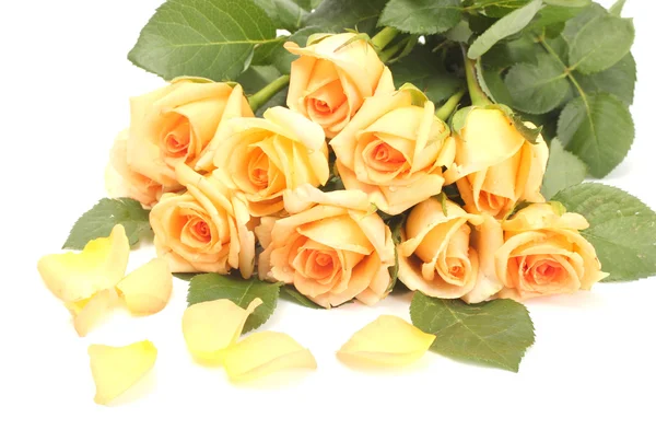 Hermoso ramo de rosas y pétalos aislados en blanco — Foto de Stock
