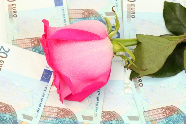 Concepto de amor y dinero —  Fotos de Stock