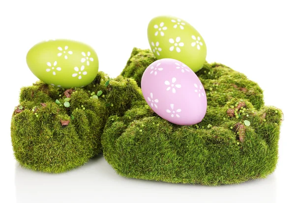 Musgo verde com ovos isolados em branco — Fotografia de Stock
