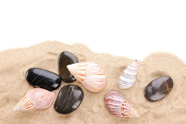 Seashells and stones on sand — Stock Photo, Image