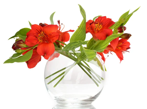 アルストロメリア白で隔離される花瓶 — ストック写真