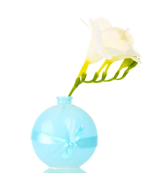 Krásný freesia v váza izolovaných na bílém — Stock fotografie