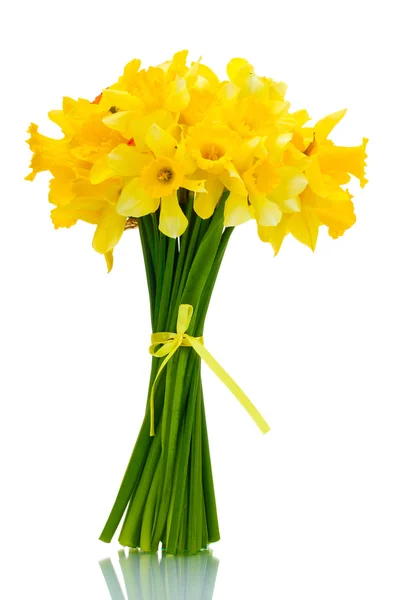 Bellissimo bouquet di narcisi gialli isolati su bianco — Foto Stock
