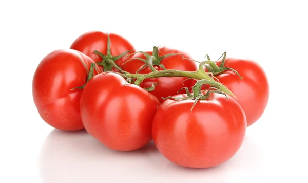 Frische Tomaten auf Zweig isoliert auf weiß — Stockfoto