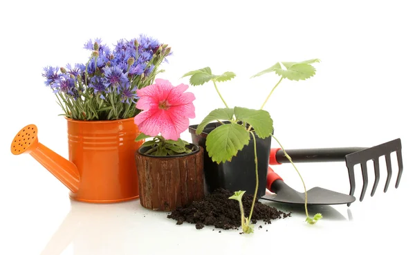 Vattenkanna, verktyg och växter i blomkruka isolerad på vit — Stockfoto