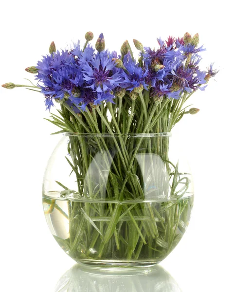 Bleuets dans un vase en verre isolé sur blanc — Photo