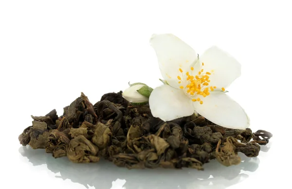 Mooie jasmijn bloem en droge groene thee geïsoleerd op wit — Stockfoto