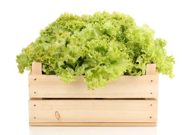 Fresh lettuce in crate isolated on white — Stock Photo, Image