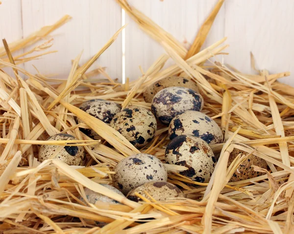 Перепелиные яйца в соломе на белом деревянном фоне — стоковое фото