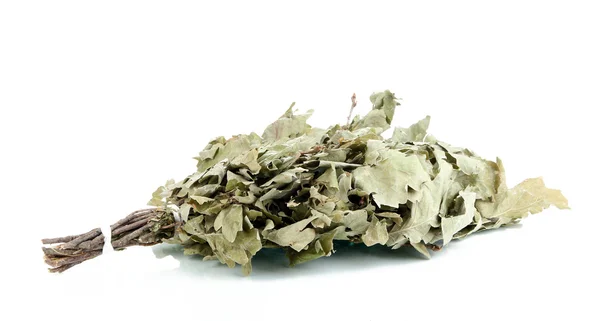 Λουτρό σκούπα της βελανιδιάς που απομονώνονται σε λευκό — Φωτογραφία Αρχείου