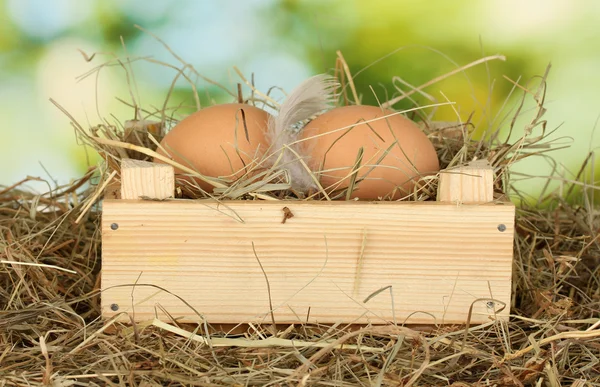 Mezarda saman üzerinde yeşil renkli yakın çekim üzerinde kahverengi yumurta — Stok fotoğraf
