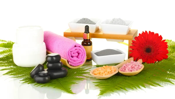 Kozmetikai agyagot spa kezelések fehér háttér — Stock Fotó