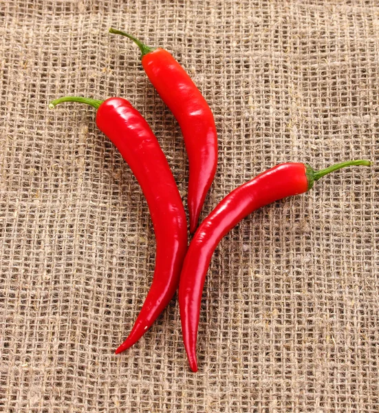 Chiles rojos picantes en tela de saco —  Fotos de Stock