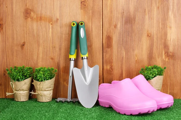 Gardening tools on wooden background — Stock Photo, Image