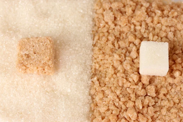Vzorek bílý a hnědý cukr detail — Stock fotografie
