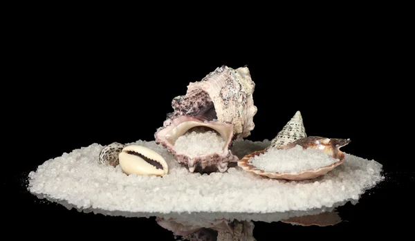 海盐与孤立在黑色背景上的壳 — 图库照片