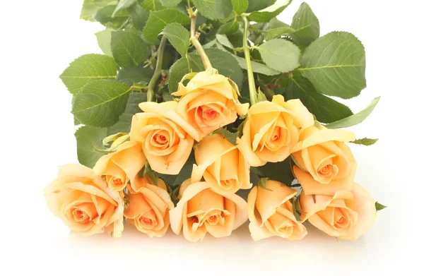 Hermoso ramo de rosas aisladas en blanco — Foto de Stock