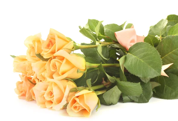 Mooi boeket rozen geïsoleerd op wit — Stockfoto