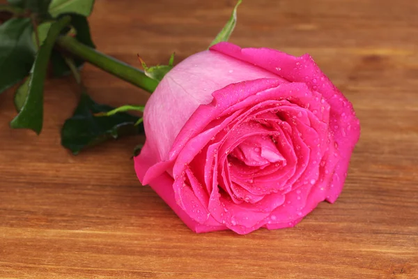 Όμορφο ροζ τριαντάφυλλο σε κοντινό πλάνο ξύλινο τραπέζι — Φωτογραφία Αρχείου