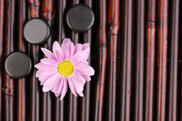 Piedras de spa y flores en estera de bambú —  Fotos de Stock