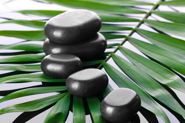 Курортные камни на зеленом пальмовом листе на сером фоне — стоковое фото