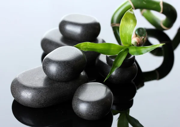 スパの石と灰色の背景上の緑の竹 — ストック写真