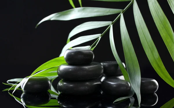 Spa 石头和黑色背景上的绿色的棕榈叶 — 图库照片