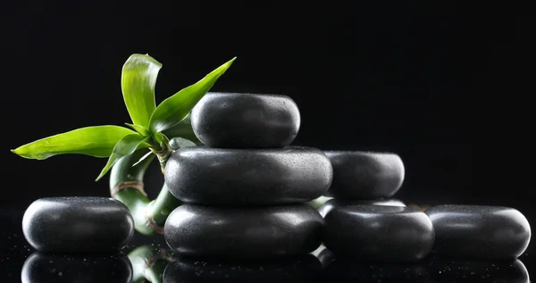 Wellness-Steine und grüner Bambus auf grauem Hintergrund — Stockfoto