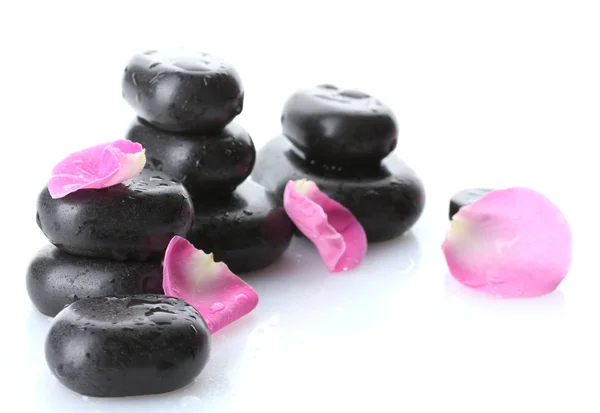 Pedras de spa com gotas e pétalas de rosa isoladas em branco — Fotografia de Stock