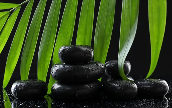 Damla ve siyah zemin üzerine yeşil palmiye yaprağı ile Spa taşlar — Stok fotoğraf