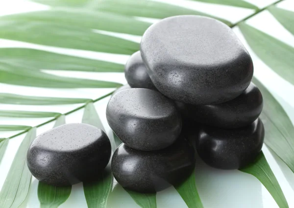 Спа камені на зеленому пальмовому листі ізольовані на білому — стокове фото