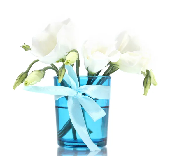 Beautiful spring flowers in blue vase isolated on white — Stock Photo, Image