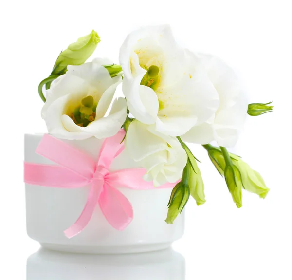 Piękne wiosenne kwiaty w wazonie na białym tle — Zdjęcie stockowe