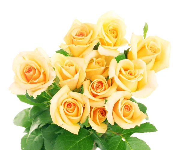 Gyönyörű rózsa csokor elszigetelt fehér — Stock Fotó