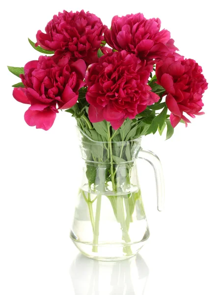 Mooie roze pioenrozen in glazen pot met strik geïsoleerd op wit — Stockfoto