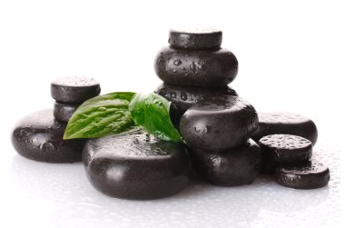 damla ve üzerinde beyaz izole yeşil yaprakları ile Spa taşlar