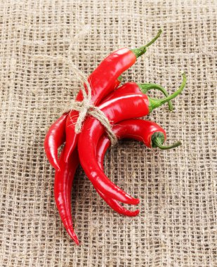 Red hot chili peppers tied with rope on sackcloth clipart