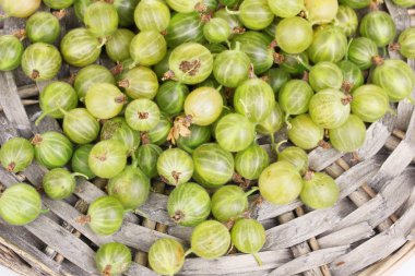 Green gooseberry on wicker mat close-up clipart