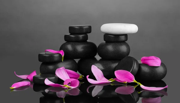 Wellness-Steine und Blütenblätter auf grauem Hintergrund — Stockfoto