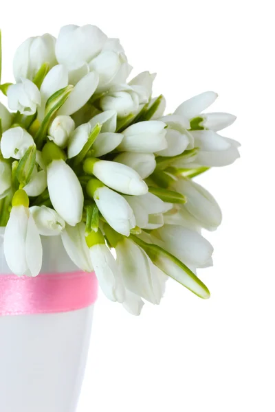 Krásnou kytici sněženky v váza izolovaných na bílém — Stock fotografie