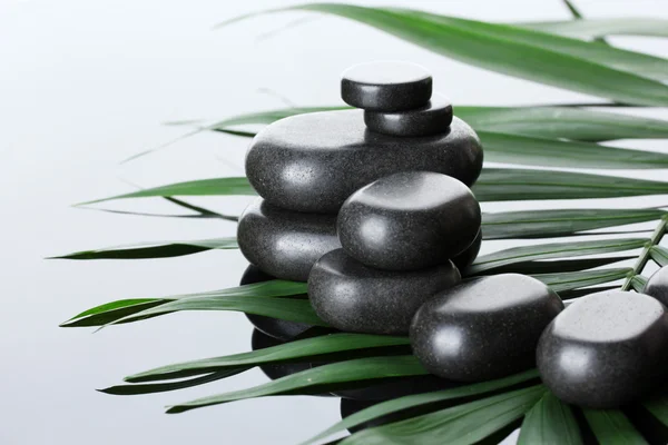 Spa stenar på gröna palmblad på grå bakgrund — Stockfoto