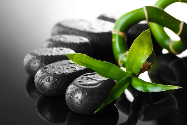 Wellness kameny s kapkami a zelený bambus na šedém pozadí — Stock fotografie