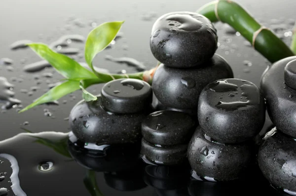 Pietre termali con gocce e bambù verde su sfondo grigio — Foto Stock