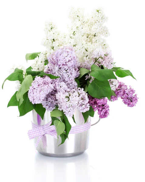 Beautiful lilac flowers in metal bucket isolated on white — Stock Photo, Image
