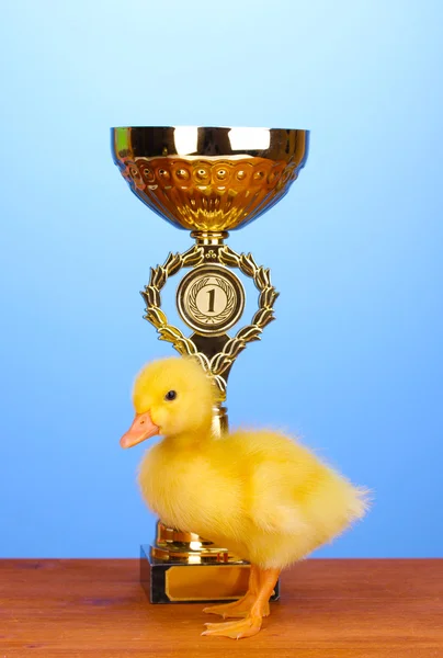 Eendje en kampioen cup op houten tafel op blauwe achtergrond — Stockfoto