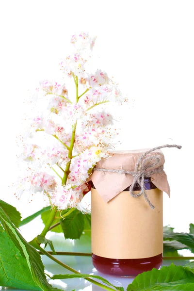Frasco de mel e ramos de castanha em fundo branco close-up — Fotografia de Stock
