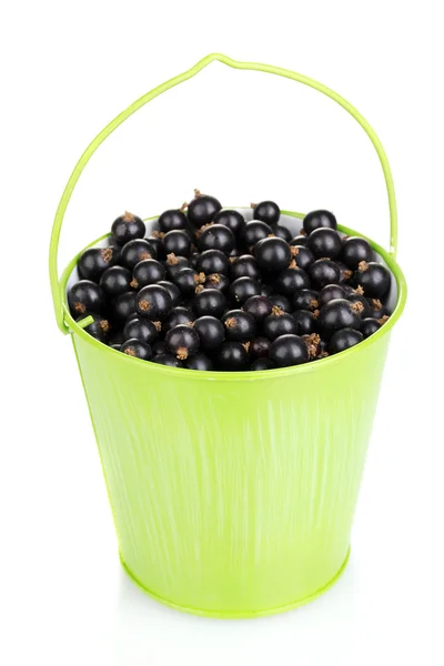 Black currant in metal bucket isolated on white — Stock Photo, Image