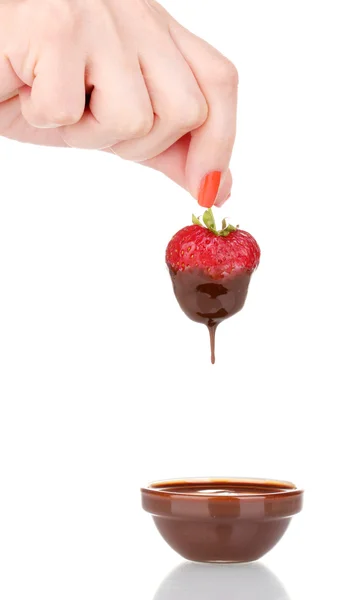 Main tenant fraise dans chocolat isolé sur blanc — Photo