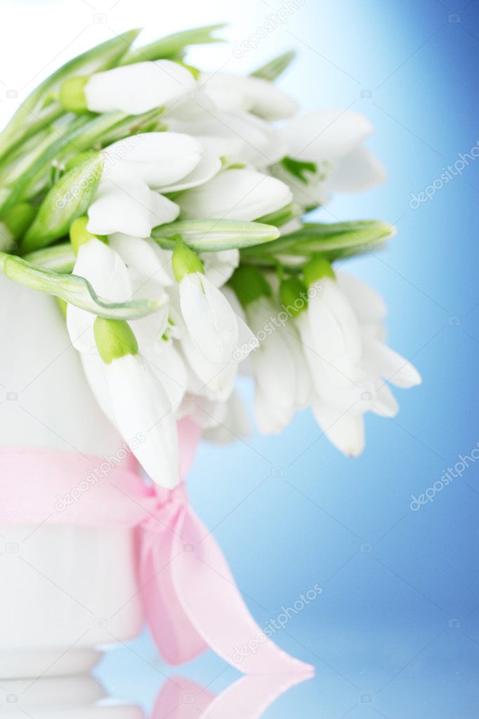 Beautiful bouquet of snowdrops in vase with bow on blue background