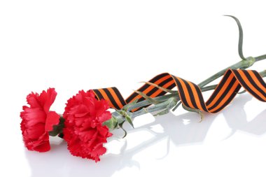 Carnations and St. George's ribbon isolated on white clipart